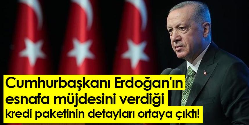 Cumhurbaşkanı Erdoğan'ın esnafa müjdesini verdiği kredi paketinin detayları ortaya çıktı!