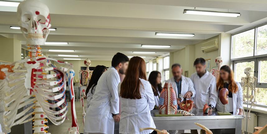 Dünya'da bir ilk! Kadavra donörden bağırsak nakli