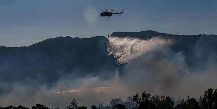 Orman yangınlarıyla mücadelede "yapay zeka" dönemi