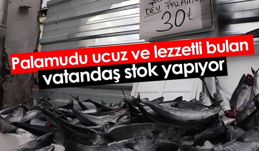 Palamudu ucuz ve lezzetli bulan vatandaş stok yapıyor