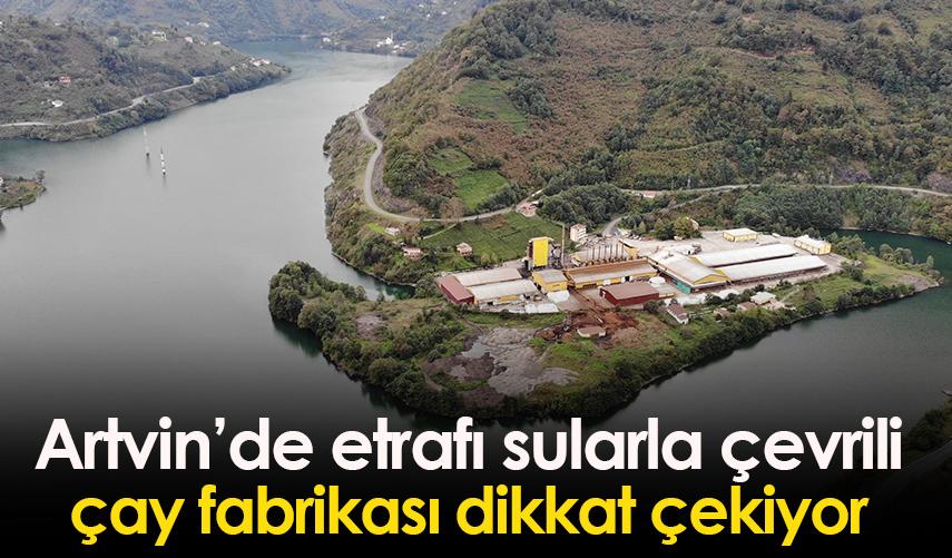 Artvin'de etrafı sularla çevrili çay fabrikası dikkat çekiyor