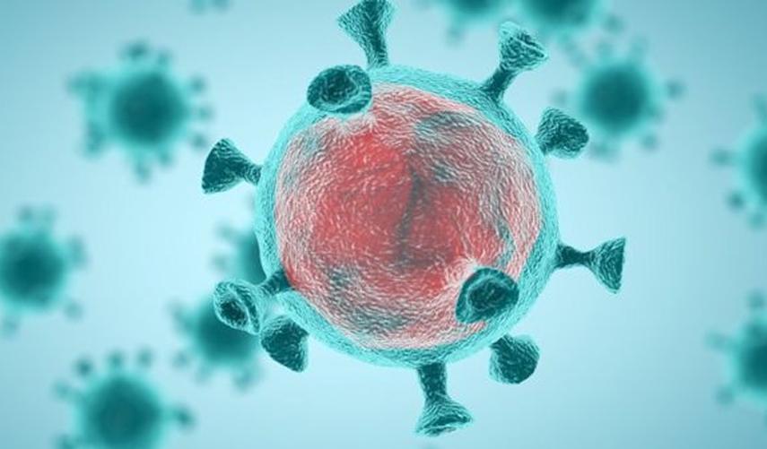 DSÖ'den Covid-19 için acil durum uyarısı!