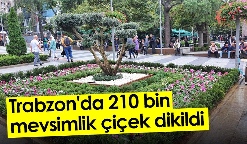 Trabzon'da 210 bin mevsimlik çiçek dikildi