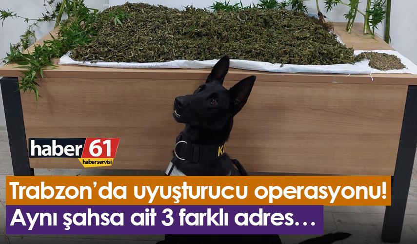 Trabzon’da uyuşturucu operasyonu! Aynı şahsa ait 3 farklı adres…