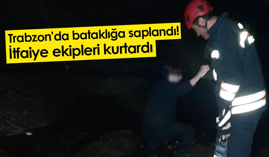 Trabzon'da bataklığa saplandı! İtfaiye ekipleri kurtardı