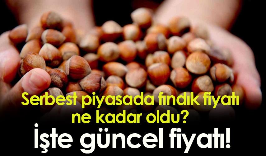 Serbest piyasada fındık fiyatı ne kadar oldu? İşte güncel fiyatlar!
