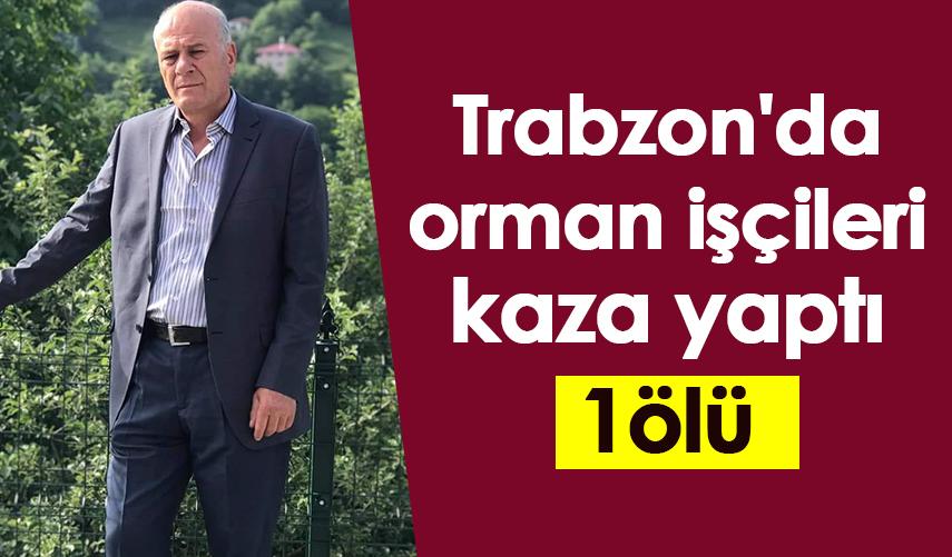 Trabzon'da orman işçileri fidan dikimi yolunda  kaza yaptı:1 ölü
