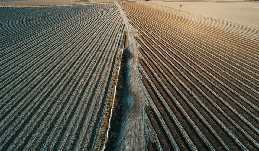 Tarıma 2023 için ayrılan bütçe 133,7 milyar liraya yükseltildi