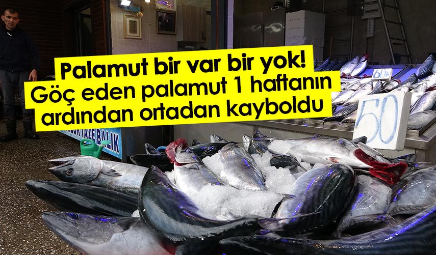 Palamut bir var bir yok!