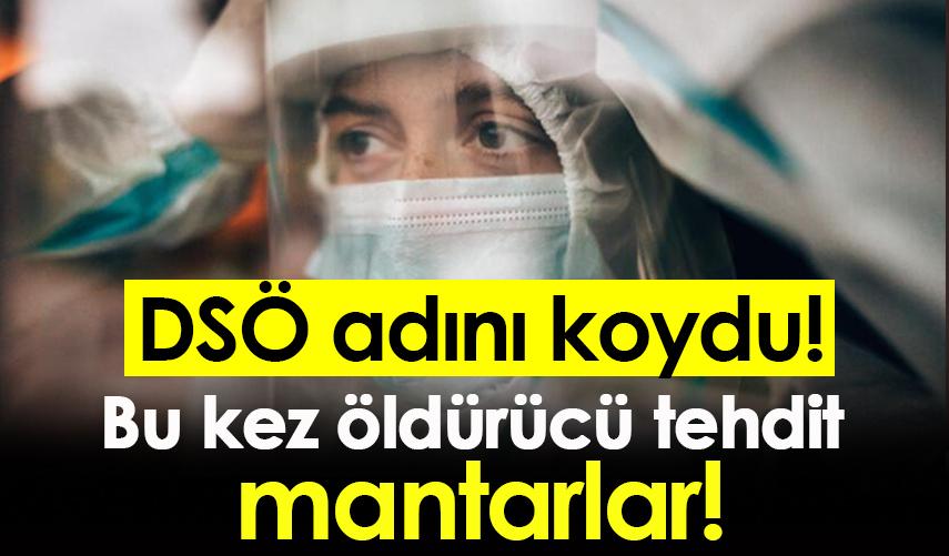 DSÖ adını koydu! Bu kez öldürücü tehdit mantarlar!