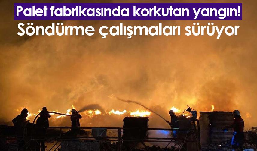 Mersin'de palet fabrikasında korkutan yangın! Söndürme çalışmaları sürüyor