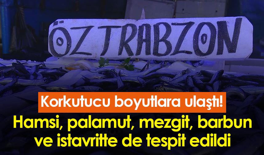 Mikroplastik kirliliği korkutucu boyutlara ulaştı! Hamsi, palamut, mezgit, barbun ve istavritte tespit edildi