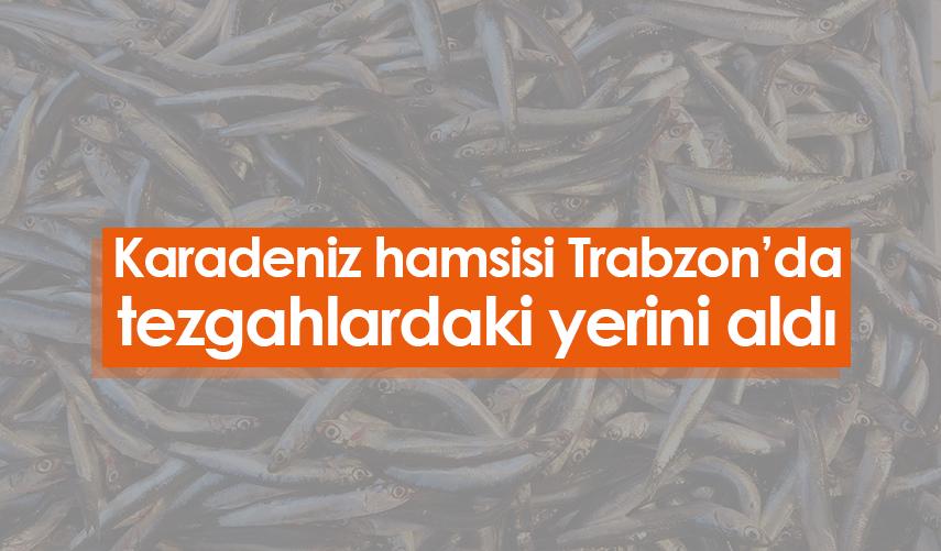 Karadeniz hamsisi Trabzon’da tezgahlardaki yerini aldı