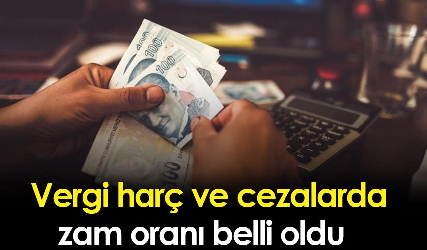 Vergi, harç ve cezalarda zam oranı belli oldu
