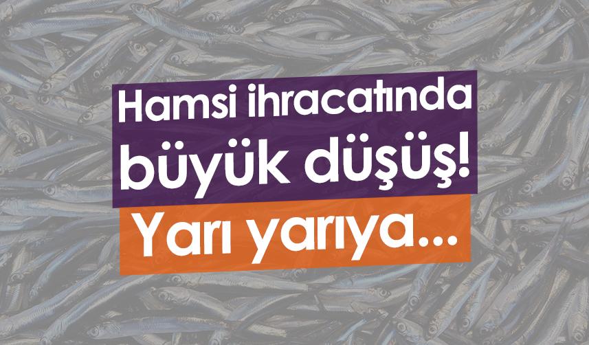 Hamsi ihracatında büyük düşüş! Yarı yarıya...