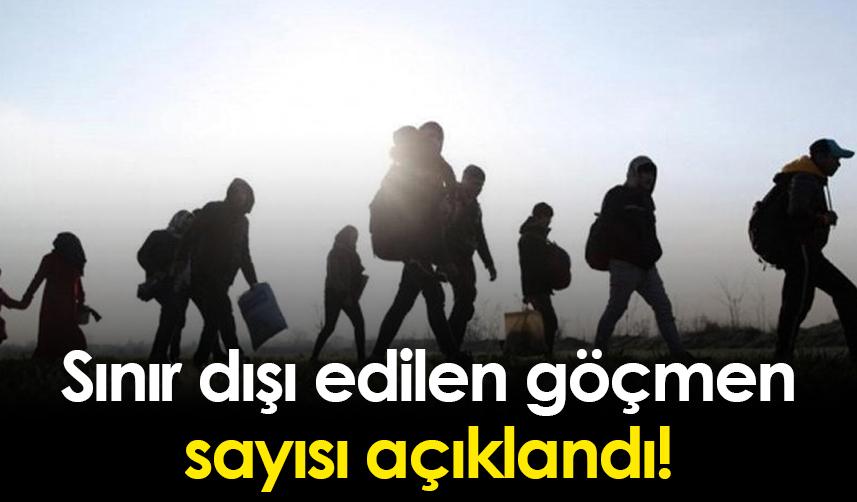 Sınır dışı edilen göçmen sayısı açıklandı