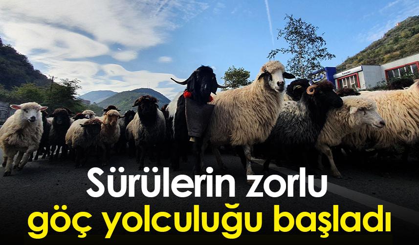 Gümüşhane'de zorlu göç yolculuğu başladı
