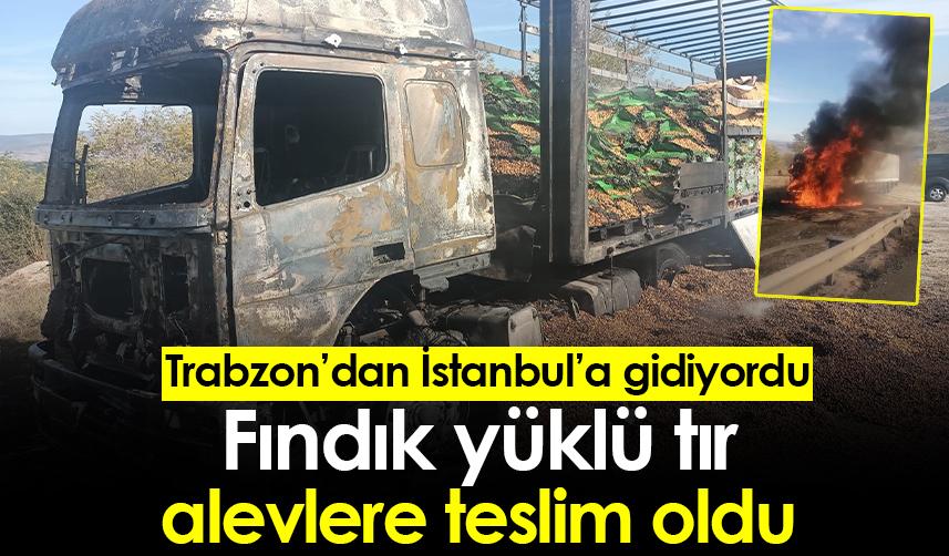 Fındık yüklü tır alevlere teslim oldu! Trabzon'dan İstanbul'a gidiyordu