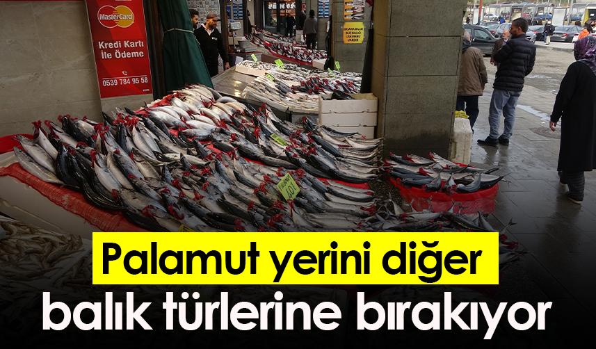 Palamut yerini diğer balık türlerine bırakıyor