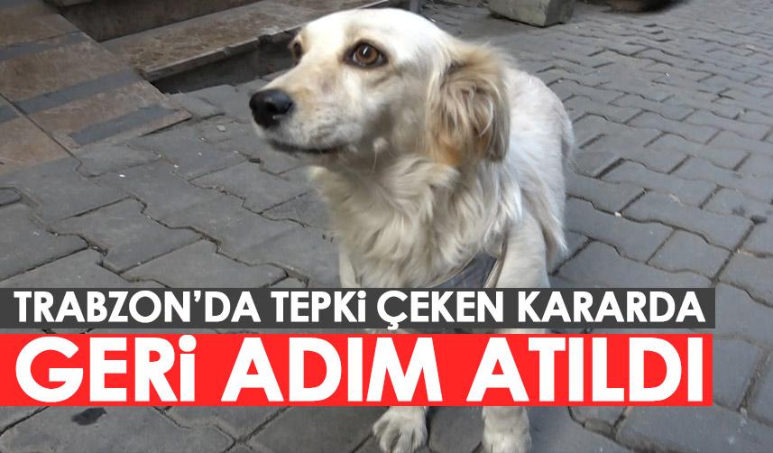 Trabzon'da sahipli köpeklere 'ağızlık' kararı geri çekildi