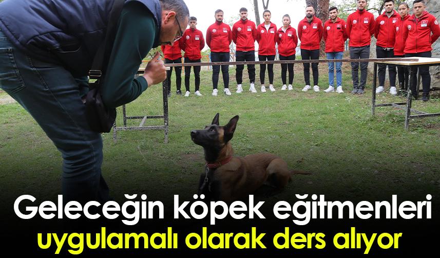 Gümüşhane'de geleceğin köpek eğitmenleri uygulamalı olarak ders alıyor