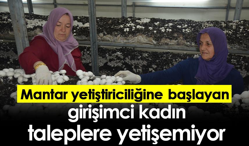 Mantar yetiştiriciliğine başlayan girişimci kadın taleplere yetişemiyor