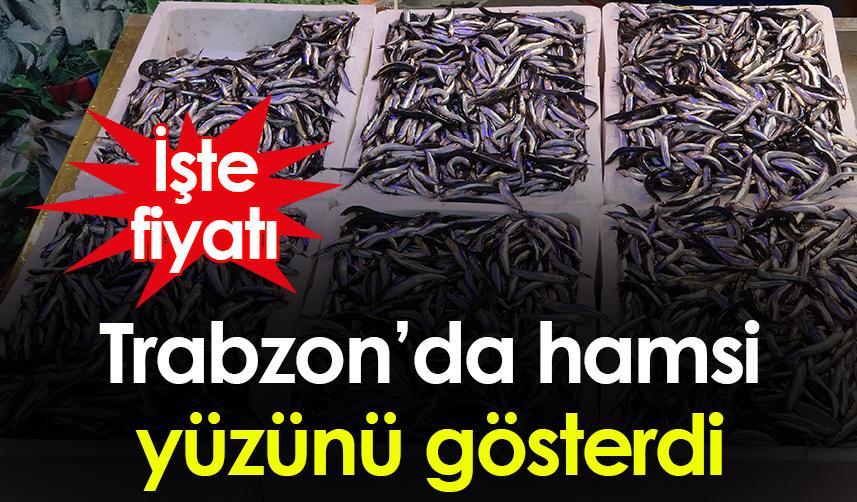 Trabzon'da hamsi yüzünü gösterdi! İşte hamsi fiyatı