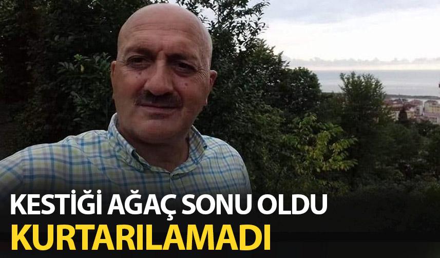 Kestiği ağaç sonu oldu!