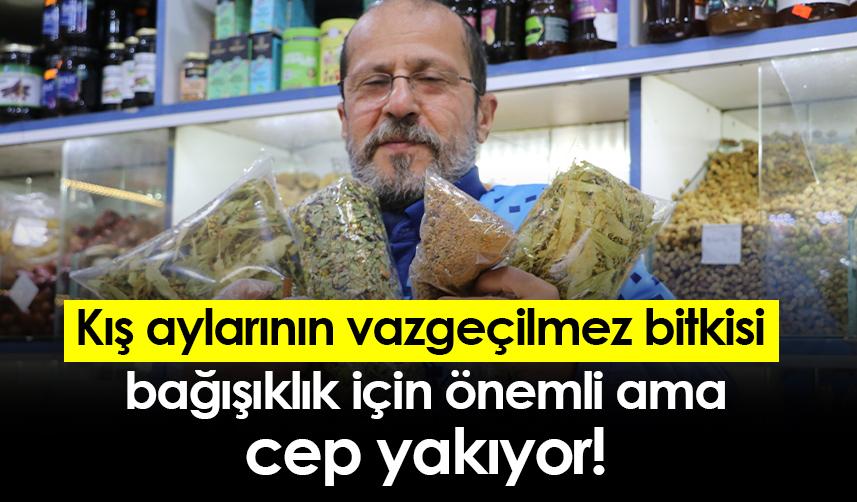 Kış aylarının vazgeçilmez bitkisi bağışıklık için önemli ama cep yakıyor!