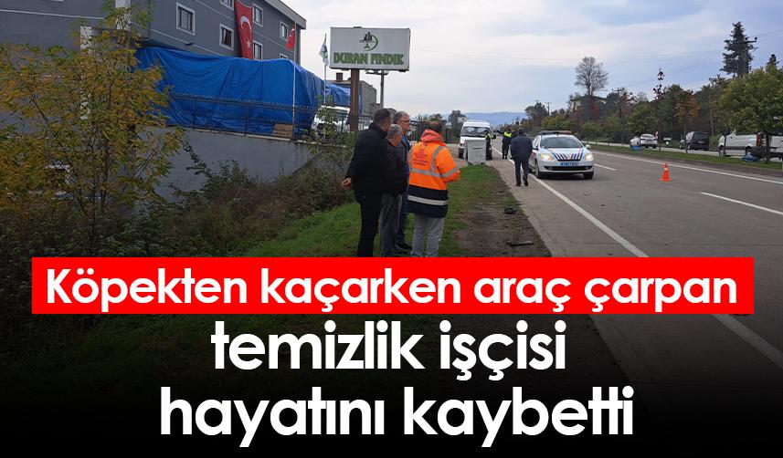 Ordu'da köpekten kaçarken araç çarpan temizlik işçisi hayatını kaybetti