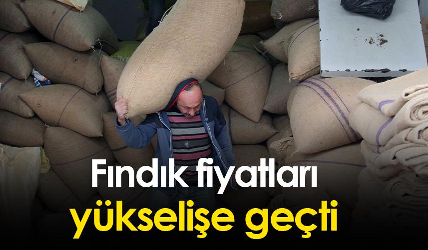 Fındık fiyatları yükselişe geçti