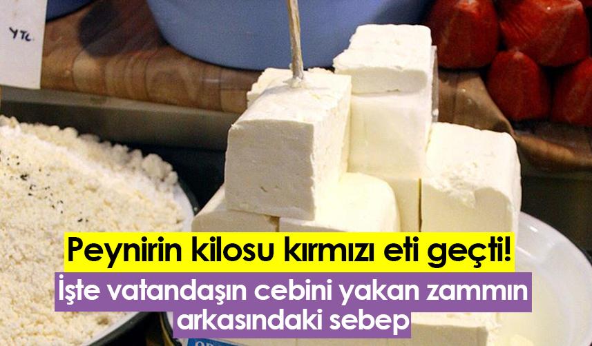 Peynirin kilosu kırmızı eti geçti! İşte vatandaşın cebini yakan zammın arkasındaki sebep