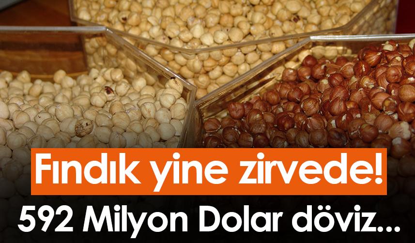 Fındık yine zirvede! 592 Milyon Dolar döviz