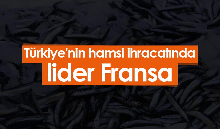 Türkiye'nin hamsi ihracatında lider Fransa