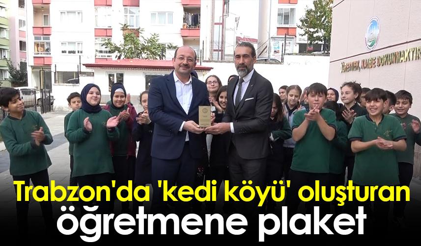 Trabzon'da 'kedi köyü' oluşturan öğretmene plaket