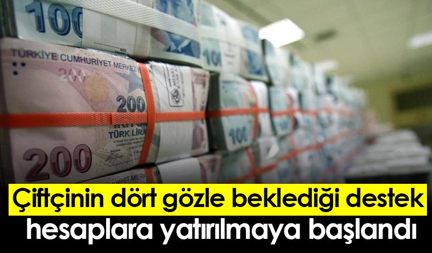 Çiftçinin dört gözle beklediği destek hesaplara yatırılmaya başlandı