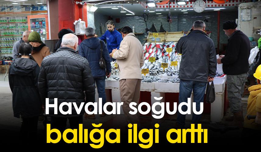 Havalar soğudu balığa ilgi arttı