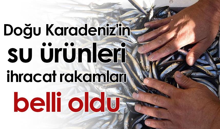 Doğu Karadeniz'in su ürünleri ihracat rakamları belli oldu