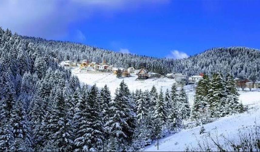 Giresun'un yüksek kesimleri karla kaplandı