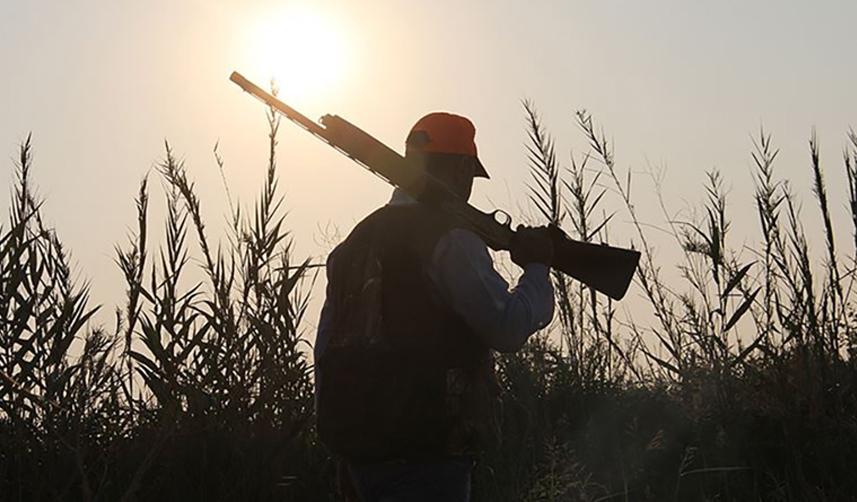 Cezalar arttı! Boz ayıyı öldürme cezası 50 bin, yaban keçisini ise 250 bin lira oldu