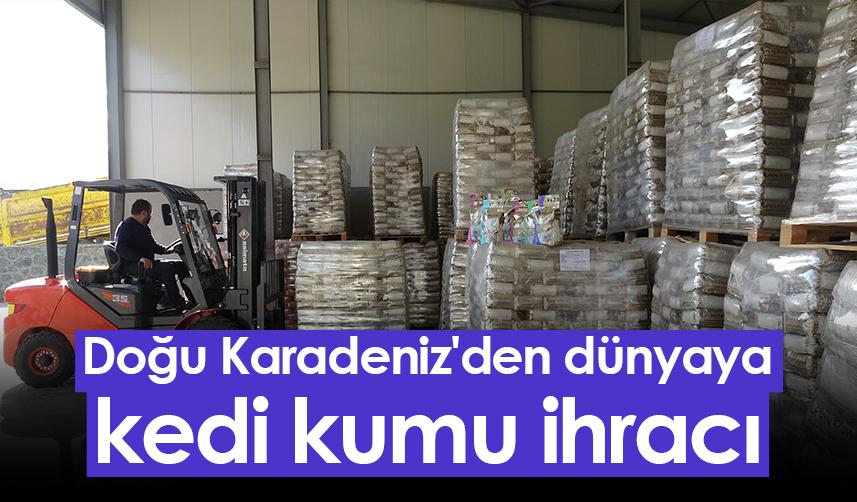 Doğu Karadeniz'den dünyaya kedi kumu ihracı