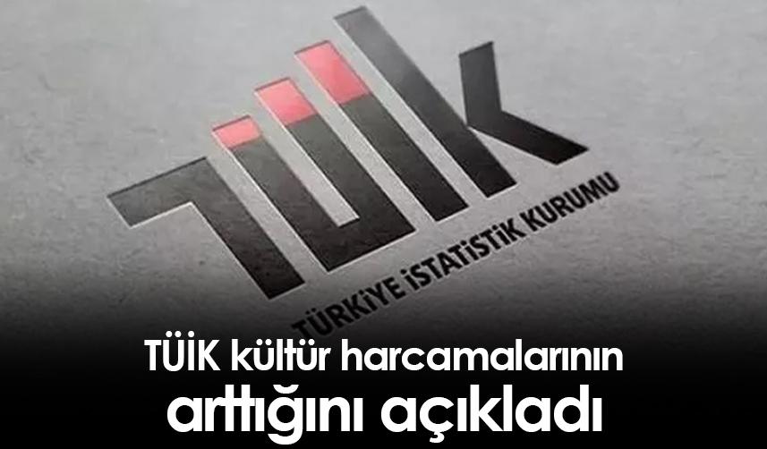 TÜİK kültür harcamalarının arttığını açıkladı