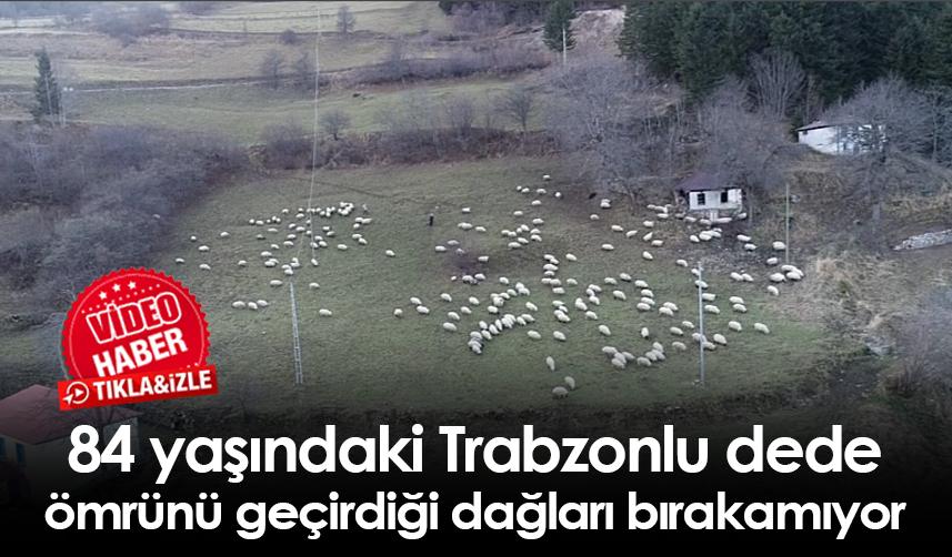 84 yaşındaki Trabzonlu dede ömrünü geçirdiği dağları bırakamıyor