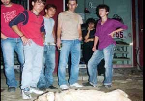 Uzunsokak'ta Sıra Doğalgazda