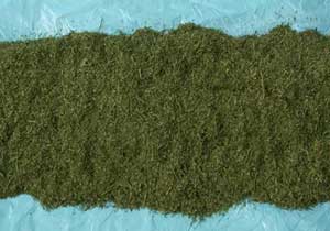 Onlar kaçtı jandarma kovaladı!