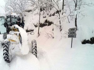 Giresun karla mücadele ediyor