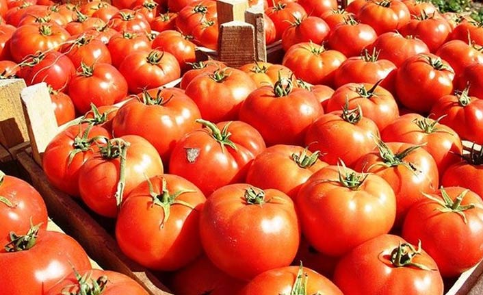 Domates fiyatı Antalya’da bir haftada hızla geriledi