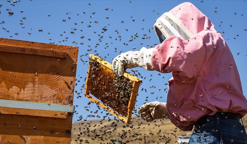 Ziya Şahin: " Dünya'da arıcılıkta ikinci sıradayız"