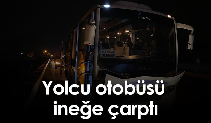 Yolcu otobüsü ineğe çarptı