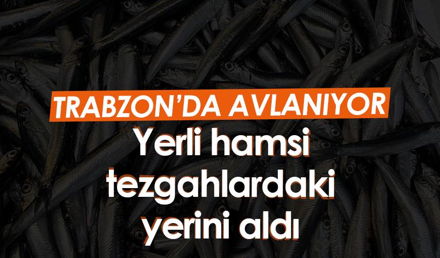 Yerli hamsi Trabzon'da tezgahlardaki yerini aldı